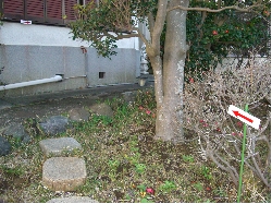 CIMG3958.JPG